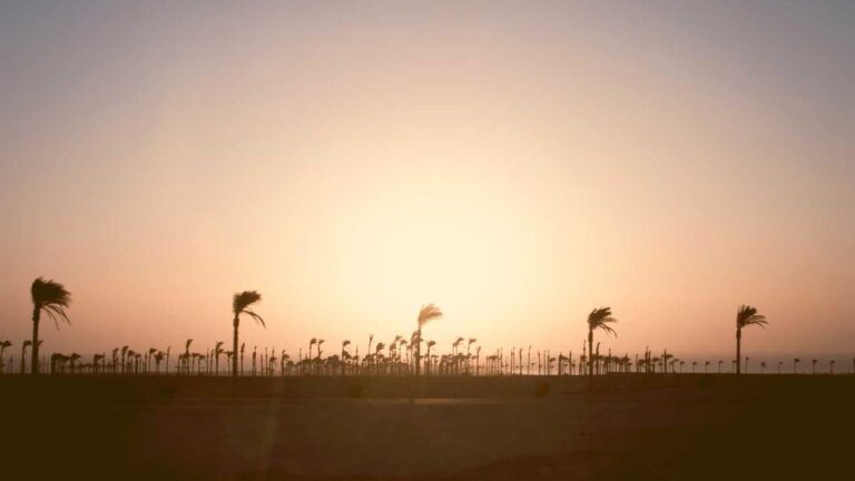 Does 99Exch Refund Policy Allow Claim Approval?